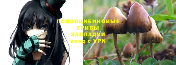 mdpv Белокуриха