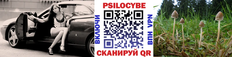 Галлюциногенные грибы Cubensis  закладка  mega как зайти  Короча 